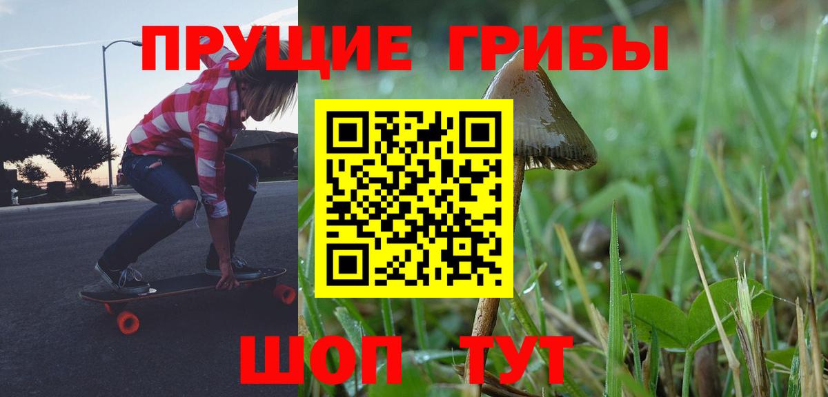 Галлюциногенные грибы Psilocybe  хочу   Вход с VPN  Уссурийск  Псилоцибиновые грибы мухоморы 